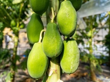 株式会社公精プラント-1