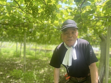 有限会社勝沼栄玉園-top