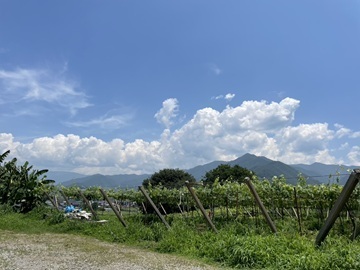有限会社勝沼栄玉園-7