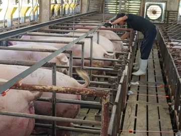 有限会社増田ファーム-5