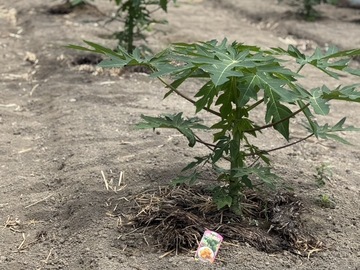 株式会社公精プラント-6