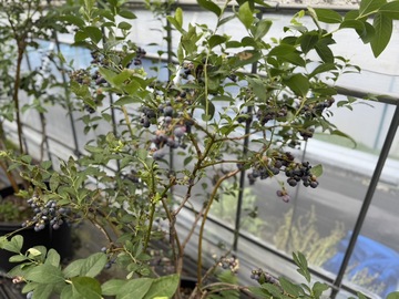 株式会社公精プラント-4