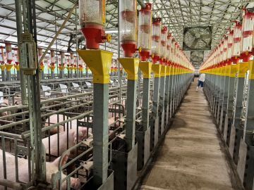 神内ファーム二十一株式会社 【養豚】-3