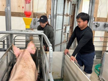 神内ファーム二十一株式会社 【養豚】-4