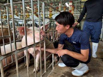 神内ファーム二十一株式会社 【養豚】-6