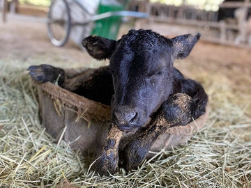 有限会社ウエストヒルズファーム-3