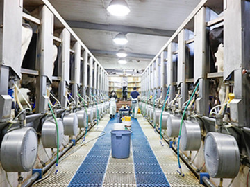 有限会社ウエストヒルズファーム-5