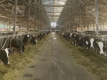 農事組合法人吉野牧場-1