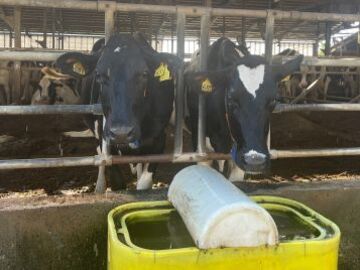 農事組合法人吉野牧場-7