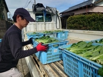 株式会社森島農園-3