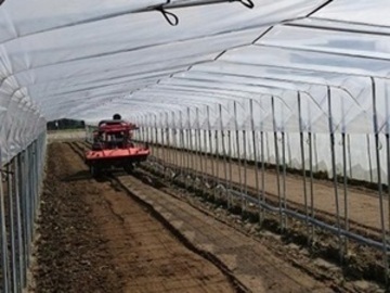 株式会社森島農園-4