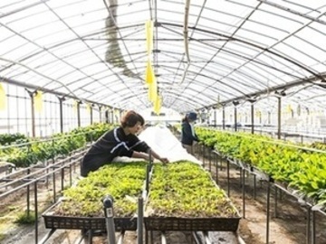 株式会社森島農園-6