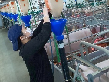 有限会社田村養豚場-1