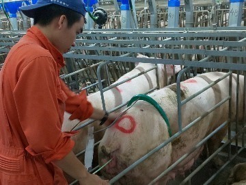 有限会社田村養豚場-5