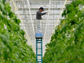 兵庫県加西市×植物工場/法人【42103】-1