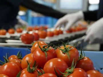 兵庫県加西市×植物工場/法人【42103】-2