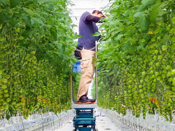 岩手県・福島県×植物工場/法人【42105】-1