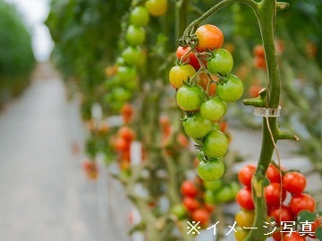 岩手県・福島県×植物工場/法人【42105】-2