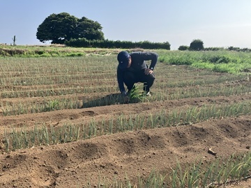 定六郎農園(さだろくろうのうえん)-4