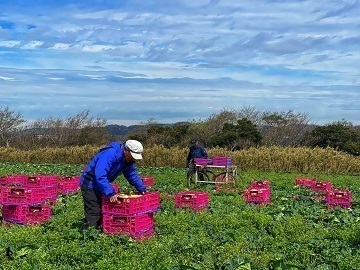 定六郎農園(さだろくろうのうえん)-3