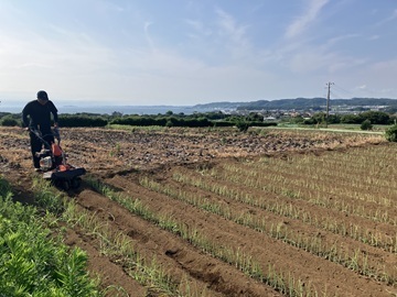 定六郎農園(さだろくろうのうえん)-2