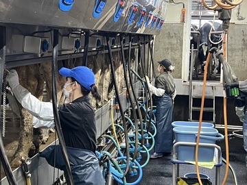 有限会社スリーピースデイリー-2