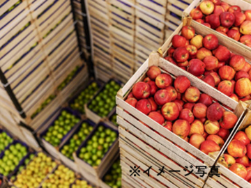 東京都新宿区×青果営業/法人【42121】-1