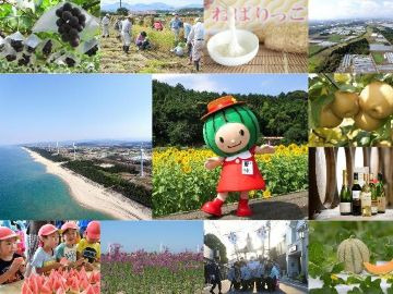 鳥取県北栄町 地域おこし協力隊募集【イチゴ産地化】-1