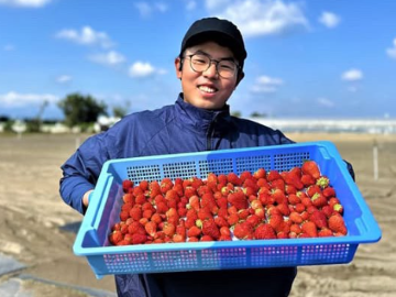 鳥取県北栄町 地域おこし協力隊募集【イチゴ産地化】-2