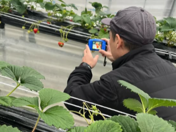鳥取県北栄町 地域おこし協力隊募集【イチゴ産地化】-5