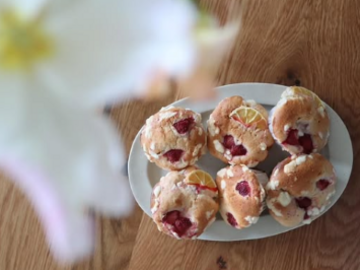 鳥取県北栄町 地域おこし協力隊募集【イチゴ産地化】-7