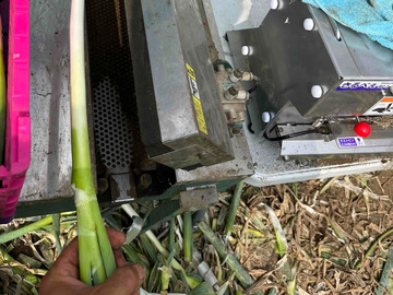 定六郎農園(さだろくろうのうえん)-5