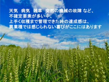 株式会社ベストアグリ-6