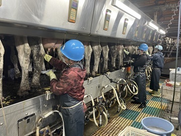 有限会社将基酪農-3
