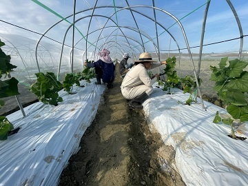 株式会社ニッキーファーム-8