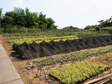 有限会社秀花園-3