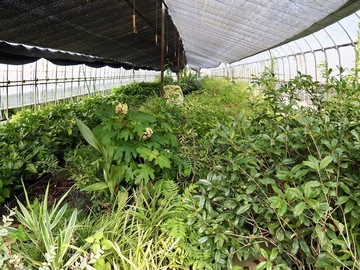 有限会社秀花園-8