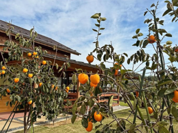 有限会社ウイングクリエーション-7