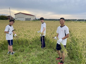 有限会社ファームキトラ-7