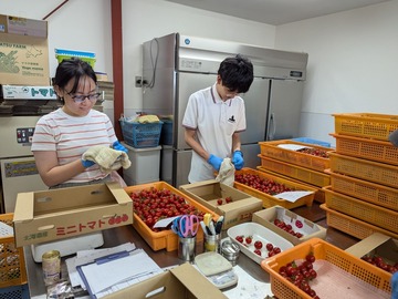 有限会社ファームキトラ-4