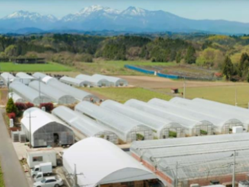 鳥取県北栄町 地域おこし協力隊募集【花壇苗】-2