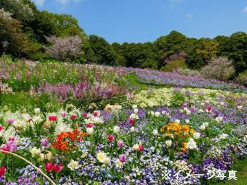 鳥取県北栄町 地域おこし協力隊募集【花壇苗】-7