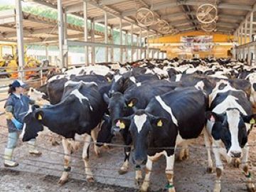 株式会社フェリスラテ-2