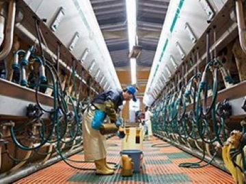 株式会社フェリスラテ-5