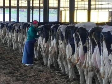 株式会社フェリスラテ-4