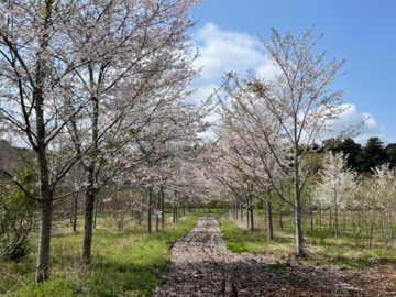 株式会社グリーンセンター中村園芸-1