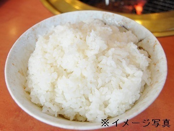 稲田農園-4