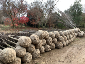 株式会社グリーンセンター中村園芸-4