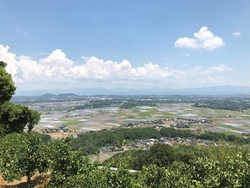 宮崎グリーンファーム合同会社-1
