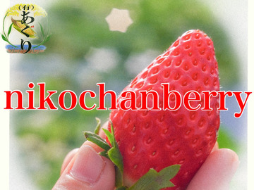 有限会社あぐりサービス-3